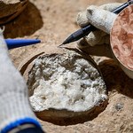 Odkryli wiek jaj dinozaurów z Chin. Pierwsze takie badania w historii