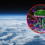 Odkryli zarodniki grzybów w stratosferze. Czy mogą podróżować na inne planety?