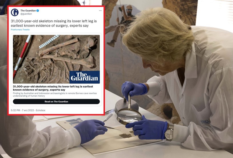 Odkryte szczątki liczą sobie ponad 30 tys. lat / Twitter @guardian /MENAHEM KAHANA / AFP /AFP