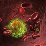 Odkryto białko, które hamuje wzrost wirusa HIV
