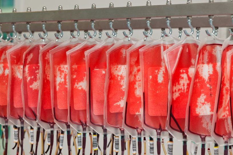 Odkryto dodatkowe źródło krwinek czerwonych w naszym organizmie /123RF/PICSEL