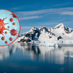Odkryto hiperoporne bakterie na Antarktydzie. Co będzie dalej?