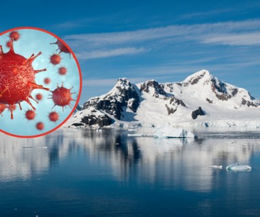 Odkryto hiperoporne bakterie na Antarktydzie. Co będzie dalej?