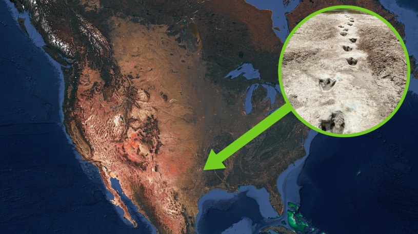 Odkryto jedną z najdłuższych ścieżek dinozaurów na świecie – „winna” jest susza