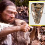 Odkryto najstarszy zabieg dentystyczny. Dokonali go Neandertalczycy