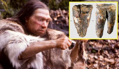 Odkryto najstarszy zabieg dentystyczny. Dokonali go Neandertalczycy