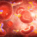 Odkryto nieznaną funkcję czerwonych krwinek - to strażnicy odporności