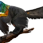 Odkryto nowego dinozaura z pięknym pióropuszem na głowie