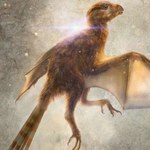Odkryto nowy gatunek latającego dinozaura