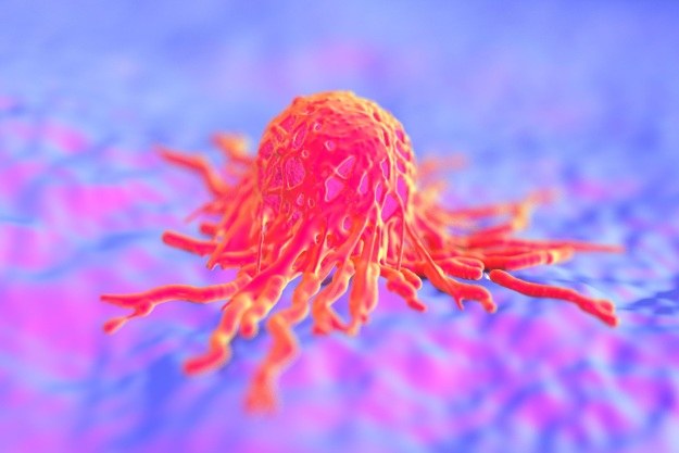 Odkryto nowy sposób walki z rakiem? /123RF/PICSEL