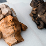 Odkryto pierwsze rzeźby bóstw zaginionej cywilizacji Hiszpanii. Badacze w szoku