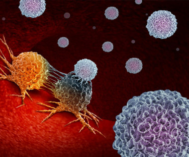 Odkryto przeciwciała, które niszczą rakowe komórki macierzyste
