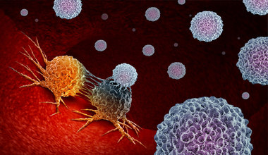 Odkryto przeciwciała, które niszczą rakowe komórki macierzyste