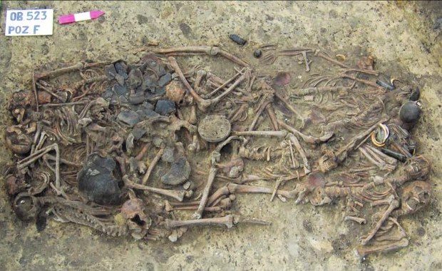 Odkryto tajemnicę neolitycznej zbrodni z terenu Polski