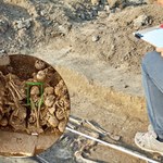 Odkryto tajemniczą stożkowatą czaszkę sprzed 6200 lat. Ma dziwną ranę