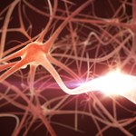 Odkryto związek, który przyspiesza odbudowę osłonek mielinowych