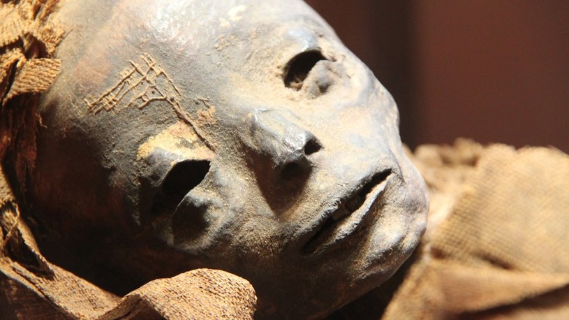 Odkryty stary egipski papirus zdradza nam szczegóły procesu mumifikacji /Geekweek