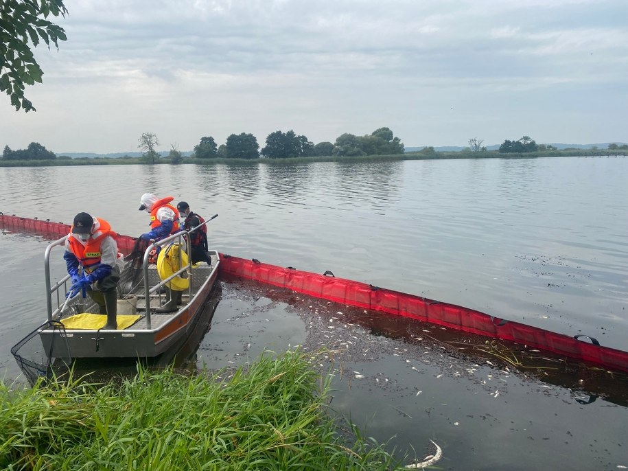 Odławianie ryb z Odry /Aneta Łuczkowska /RMF FM