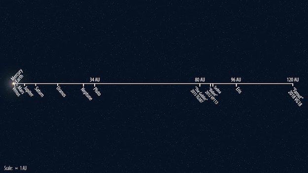 Odległość Farout od Słońca w porówaniu z odległościami innych obiektów Ukłądu Słonecznego / Roberto Molar Candanosa/Scott S. Sheppard/Carnegie Institution for Science /Materiały prasowe