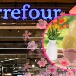 Odmień kuchnię na wiosnę. Naczynia w Carrefour nawet do 31% taniej