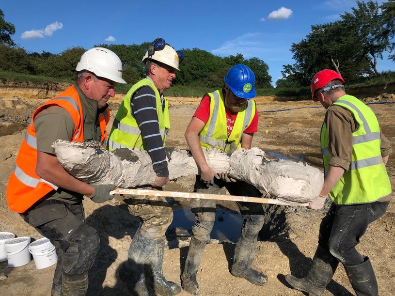 Odnalezione szczątki mamutów będą tematem przewodnim nowego filmu BBC z udziałem sławnego biologa Davida Attenborough /DigVentures /materiały prasowe