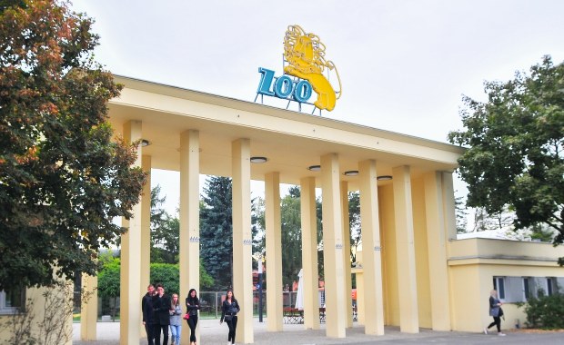 Odnaleziono album z pocztówkami dokumentującymi działalność zoo z początku XX w.