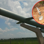 Odnaleziono głowicę rakiety, która spadła pod Bydgoszczą 