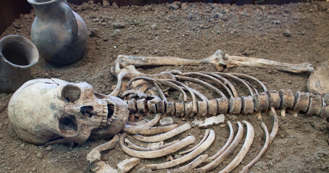 Odnaleziono liczne groby w których znajdowały się szkielety i inne przedmioty /123RF/PICSEL
