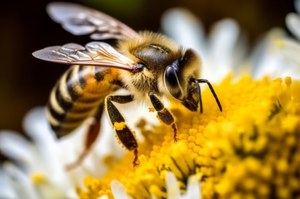Odnaleziono setki zmumifikowanych pszczół w kokonach. Pamiętają czasy faraonów 