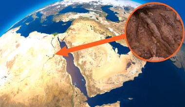 Odnaleziono wielkie mumie krokodyli w nienaruszonym egipskim grobowcu