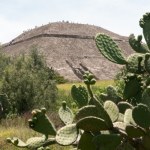Odnaleźli szczątki prawie 200 zwierząt. Nietypowe odkrycie w Meksyku