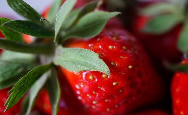 Odpad czy skarb? Jedz nie tylko czerwone, ale i zielone części truskawek
