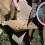 Odpalili biologiczną bombę nad Morzem Śródziemnym. To będzie inwazja