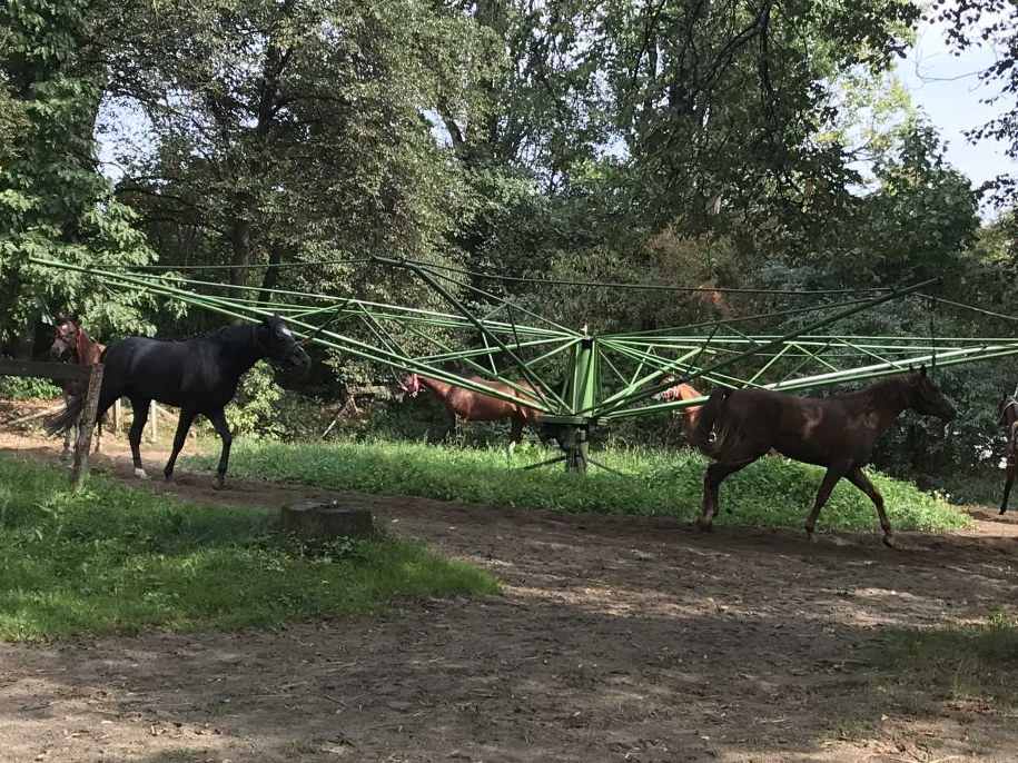 Odpoczynek po treningu, czyli miasteczko tuż obok Toru Wyścigów Konnych Służewiec - największego toru tego typu w Polsce. /Fot. Michał Dobrołowicz /RMF FM