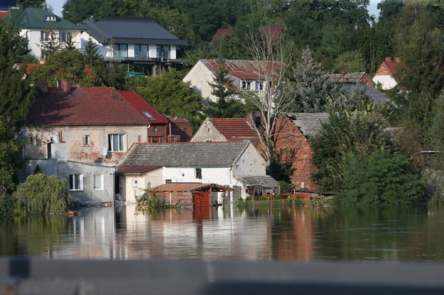 Odra w Cigacicach na zdjęciu z 23 września br. / 	Lech Muszyński    /PAP