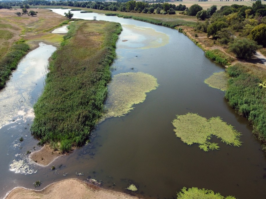 Odra w miejscowości Czelin. / 	Marcin Bielecki    /PAP