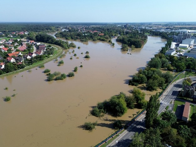 Odra w Oławie (zdjęcie z 17 września) /Wojciech Olkuśnik /East News