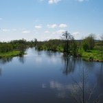 Odratowano polską perłę nad Nidą. To unikat w skali Europy