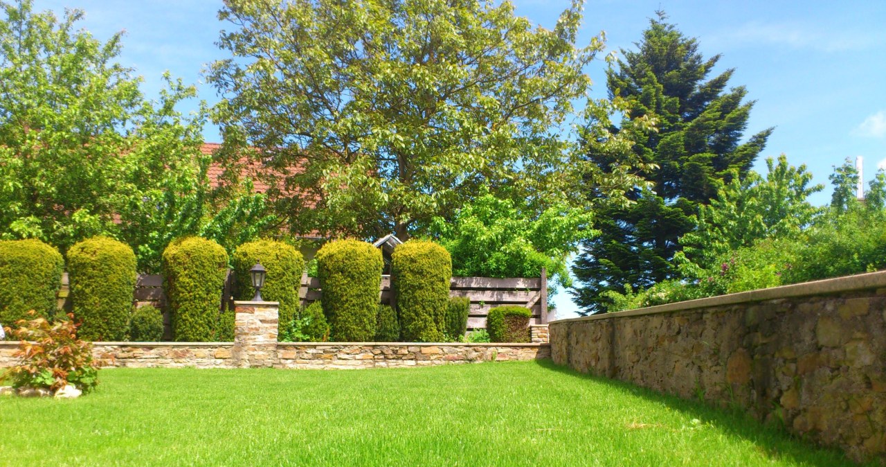 Одразу після підсіву газон варто підживити спеціальним  добривом та забезпечити йому регулярний полив /pixabay.com