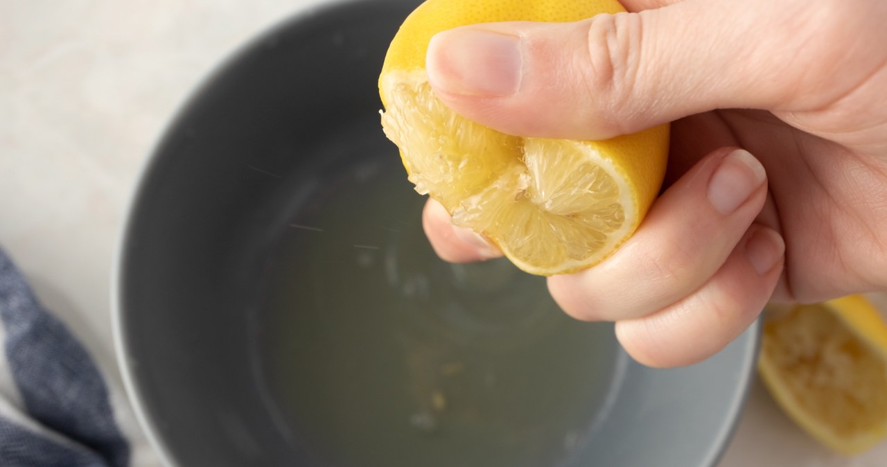 Odrobina soku z cytryny sprawi, że borówka doczeka się lepszych plonów /123RF/PICSEL