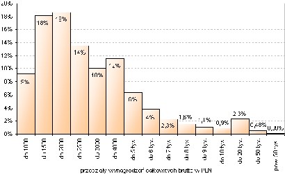 Odsetek osób, których wynagrodzenia całkowite mieszczą się w danym przedziale /INTERIA.PL