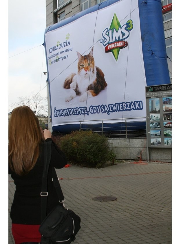 Odsłonięcie bilboardu ze Zwierzakowym Celbrytą The Sims 3 /Informacja prasowa