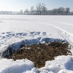 Odszkodowanie za kosmiczne śmieci Muska w Wielkopolsce. Polska przetrze szlaki