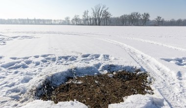 Odszkodowanie za kosmiczne śmieci Muska w Wielkopolsce. Polska przetrze szlaki