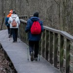 Odtworzą 500 ha mokradeł w polskim parku narodowym. Projekt za 4,3 mln zł