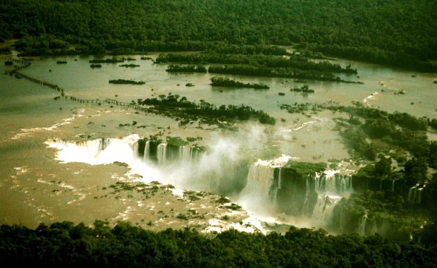 Odtworzenie "zielonych płuc" naszej planety potrwa wiele stuleci