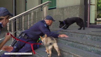 Odwaga nie jest jego najmocniejszą stroną. Przyszły policjant boi się…. schodów