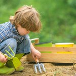 Odwiedź EkoEksperymentarium online i na żywo