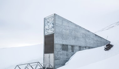 Odwiedź Globalny Bank Nasion na Svalbardzie dzięki VR 