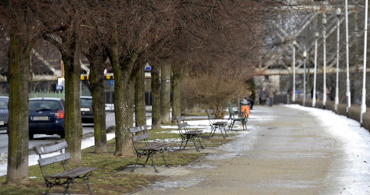 Odwilż na Podkarpaciu /Darek Delamnowicz /PAP